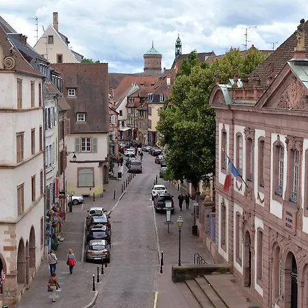 Apartment Au Grenier A Sel Colmar